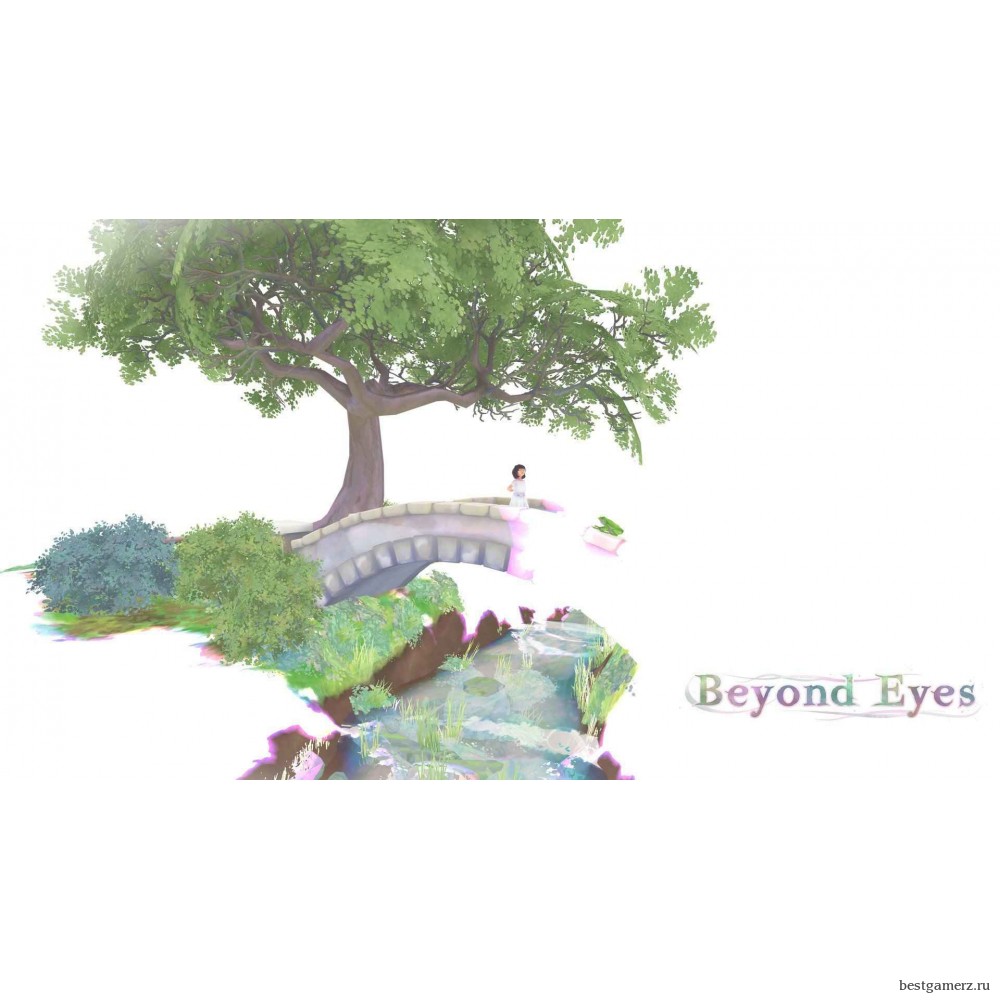 Beyond Eyes