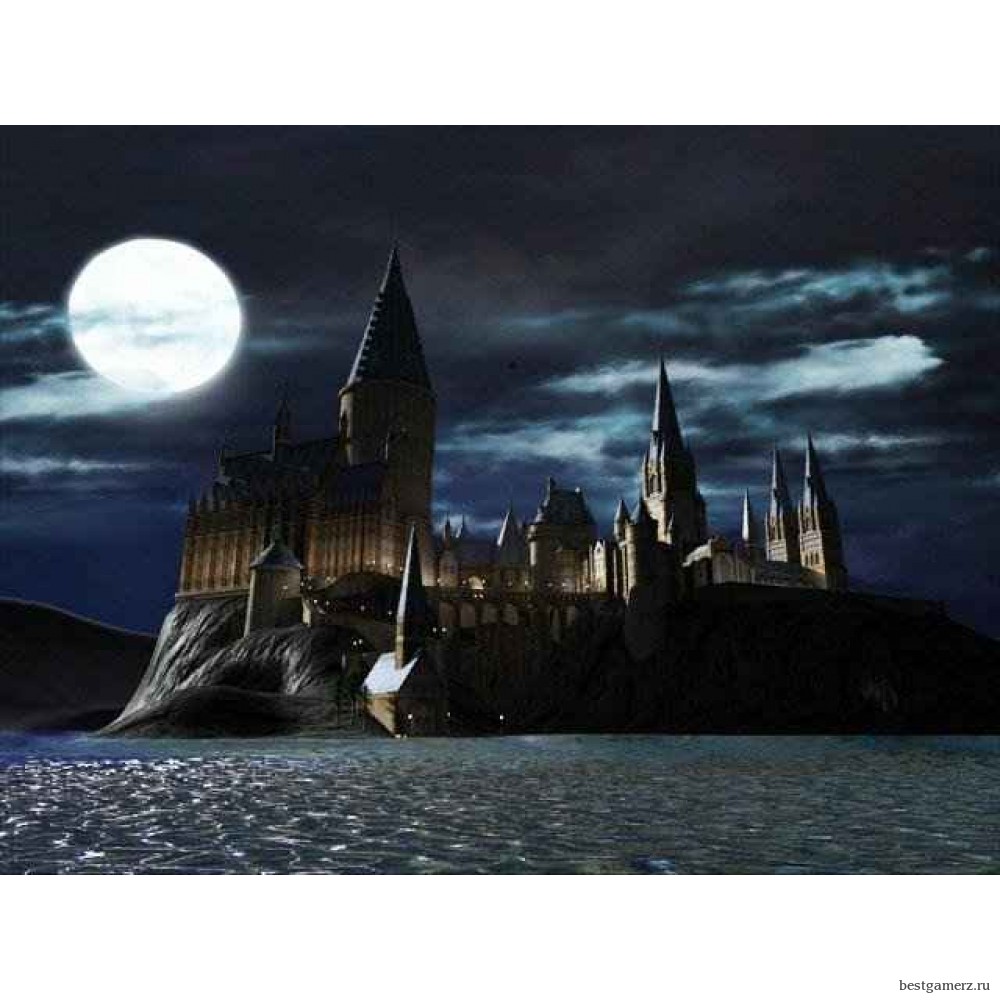 LEGO Harry Potter Years 1-4