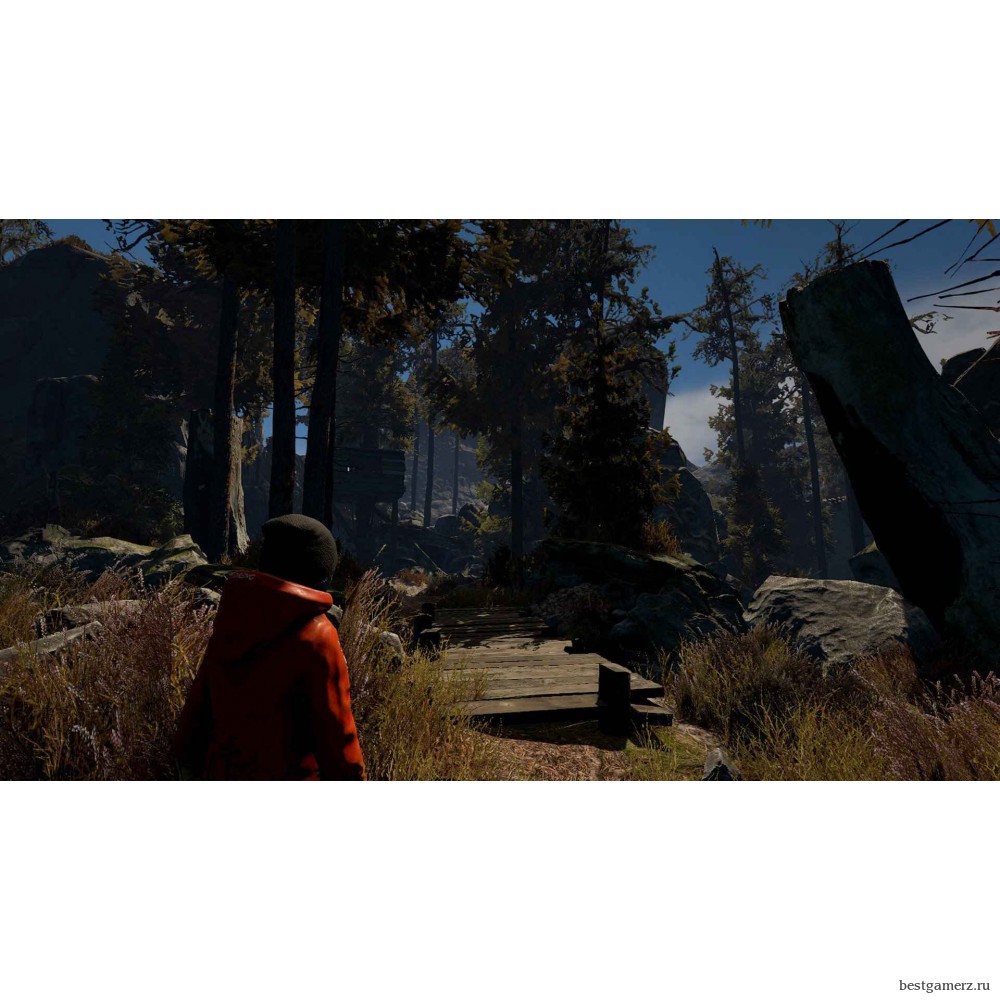 Through the Woods: Collector’s Edition