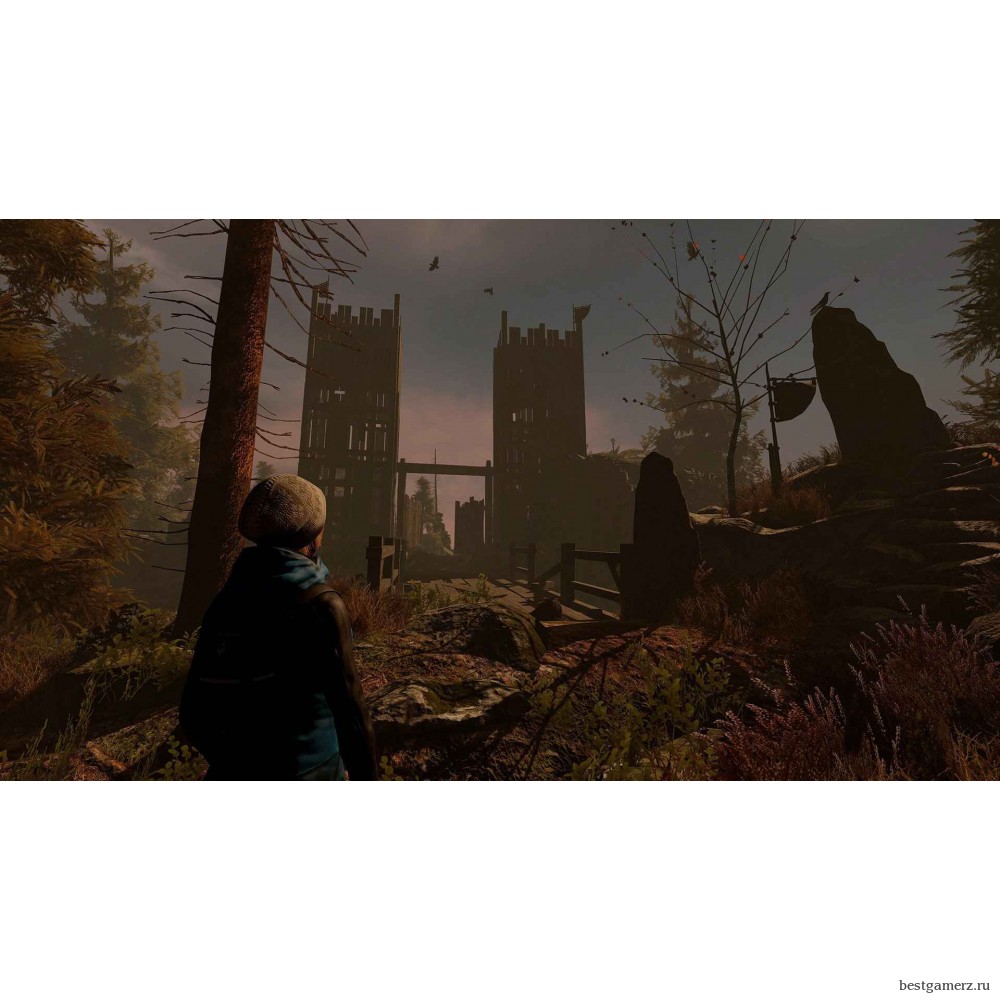 Through the Woods: Collector’s Edition