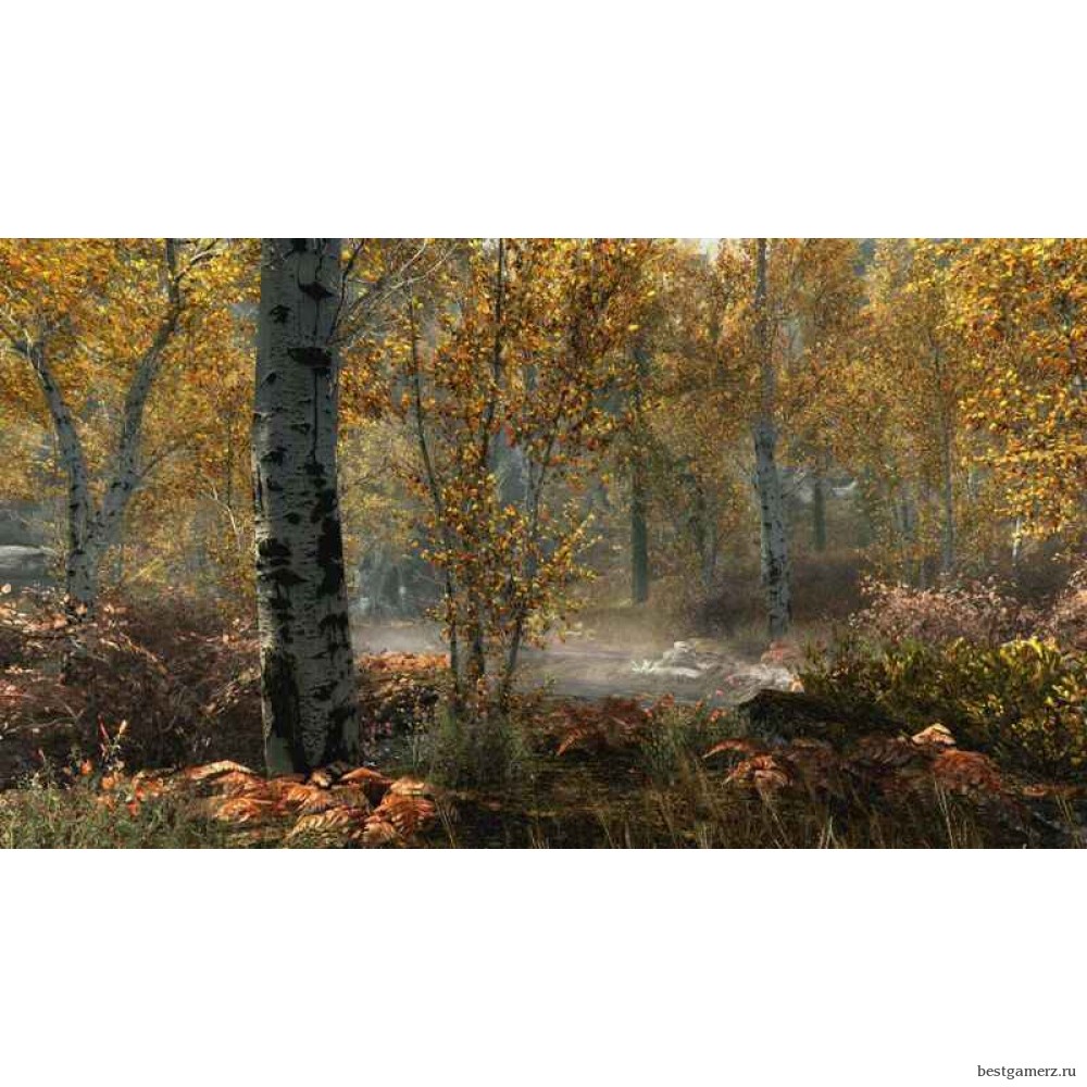 The Elder Scrolls 5 (V): Skyrim. Special Edition Русская Версия 