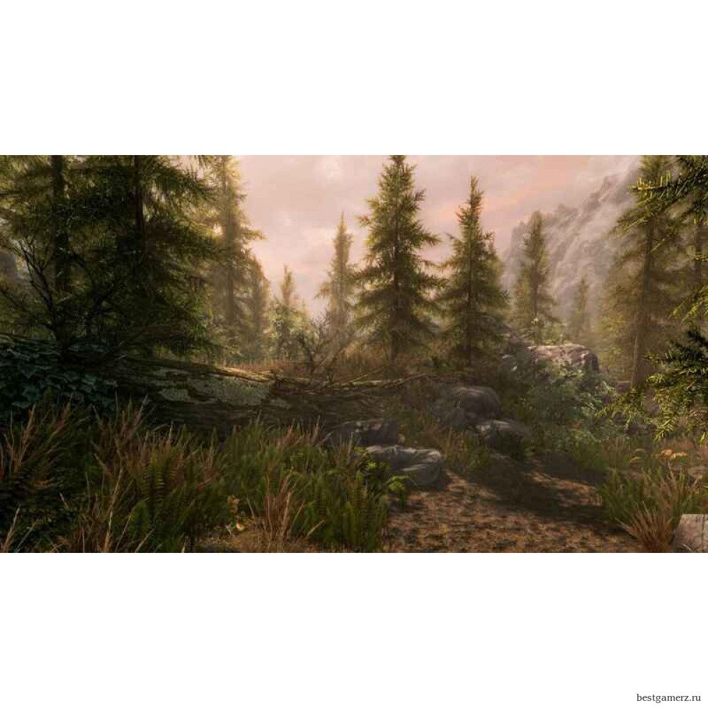 The Elder Scrolls 5 (V): Skyrim. Special Edition Русская Версия 