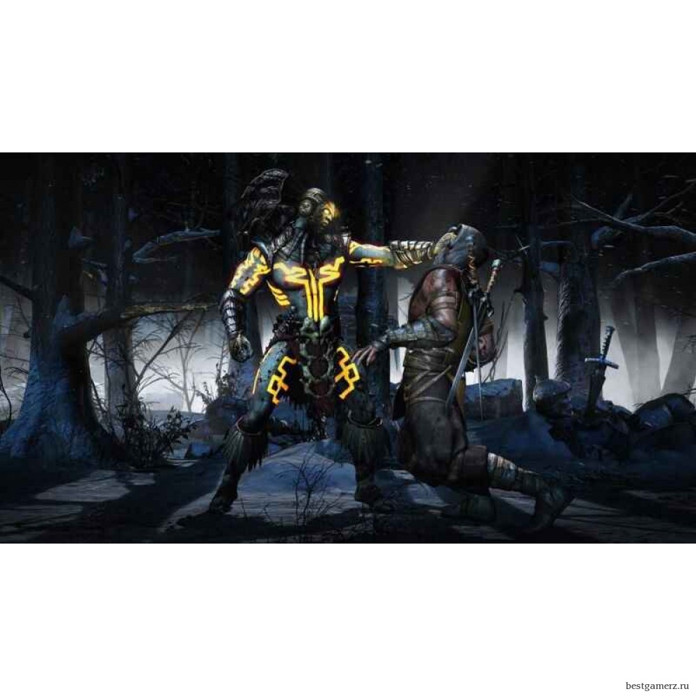 Mortal Kombat X (by Coarse) Коллекционное издание 