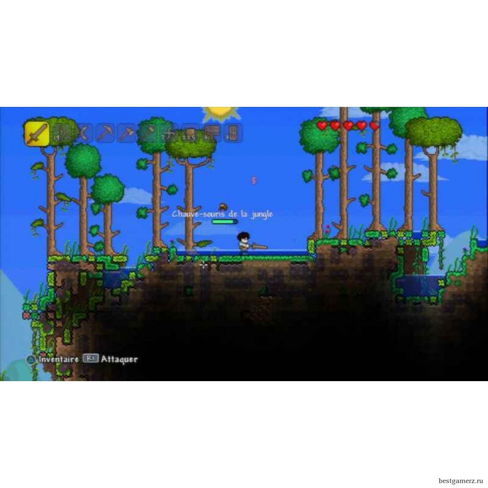 Terraria Специальное Издание (Special Edition)