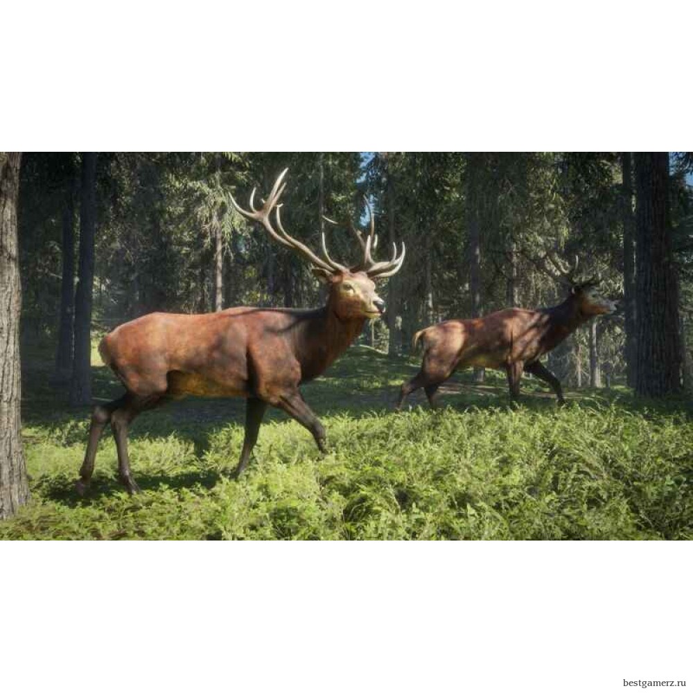 The Hunter: Call of the Wild 