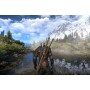 Ведьмак 3: Дикая Охота (The Witcher 3: Wild Hunt) Коллекционное издание (Collector’s Edition) Русская Версия 