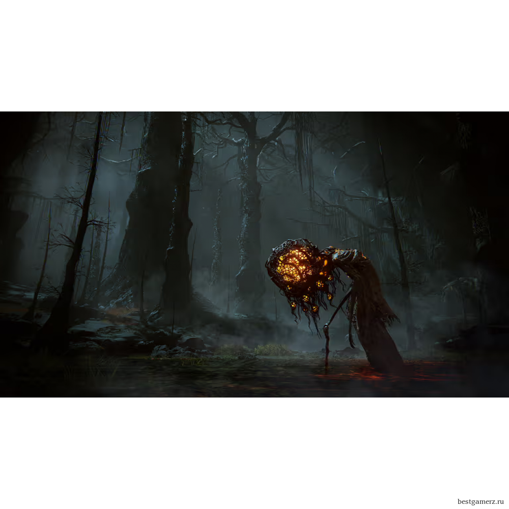 Коллекционное издание ELDEN RING Shadow of the Erdtree Collector's Edition