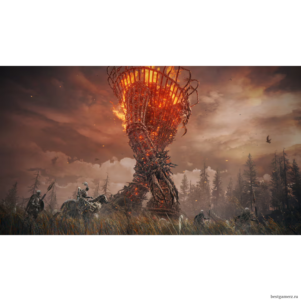 Коллекционное издание ELDEN RING Shadow of the Erdtree Collector's Edition